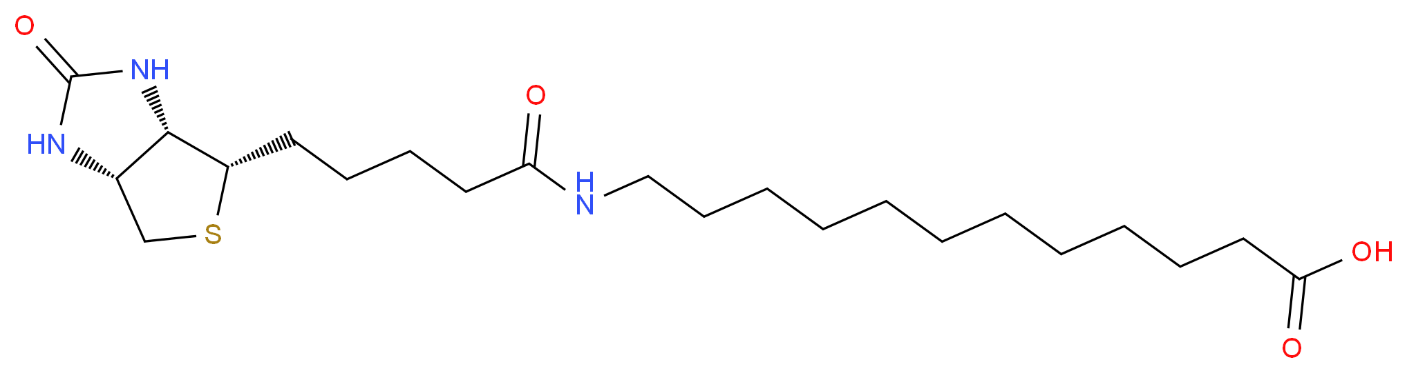 12-{5-[(3aS,4S,6aR)-2-oxo-hexahydro-1H-thieno[3,4-d]imidazolidin-4-yl]pentanamido}dodecanoic acid_分子结构_CAS_135447-73-3