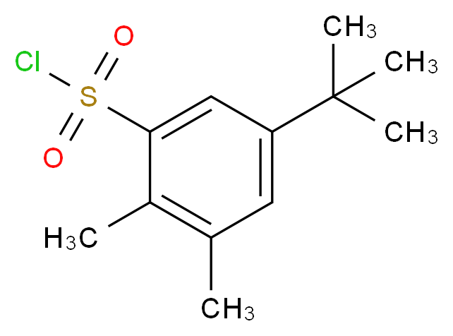 5-tert-butyl-2,3-dimethylbenzene-1-sulfonyl chloride_分子结构_CAS_339370-16-0