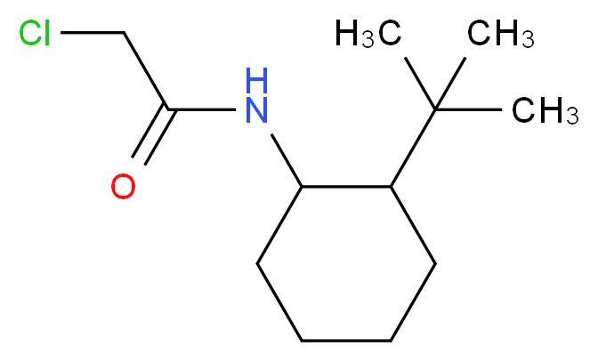 N-(2-tert-butylcyclohexyl)-2-chloroacetamide_分子结构_CAS_25329-22-0
