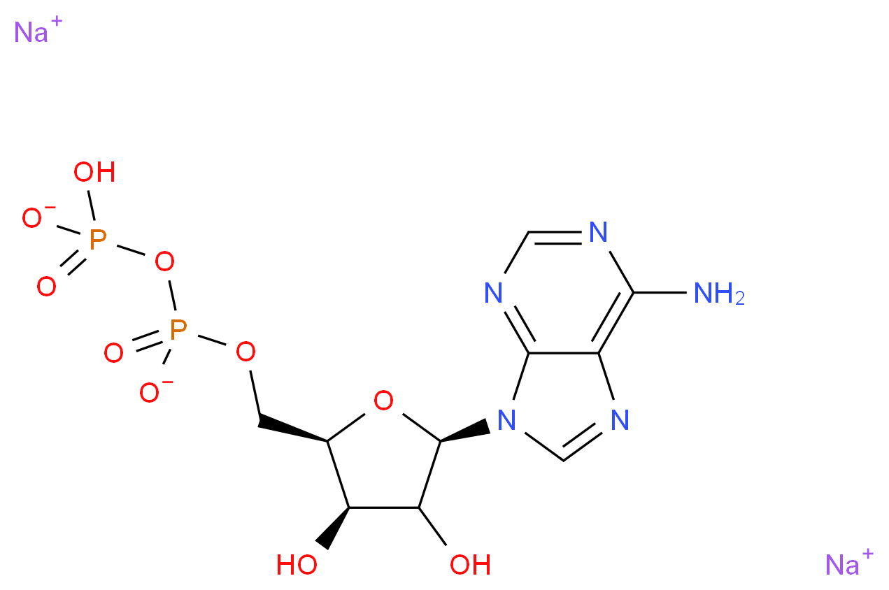 disodium hydrogen ({[(2R,3R,5R)-5-(6-amino-9H-purin-9-yl)-3,4-dihydroxyoxolan-2-yl]methyl phosphonato}oxy)phosphonate_分子结构_CAS_16178-48-6