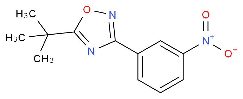 5-(tert-Butyl)-3-(3-nitrophenyl)-1,2,4-oxadiazole_分子结构_CAS_1004398-30-4)