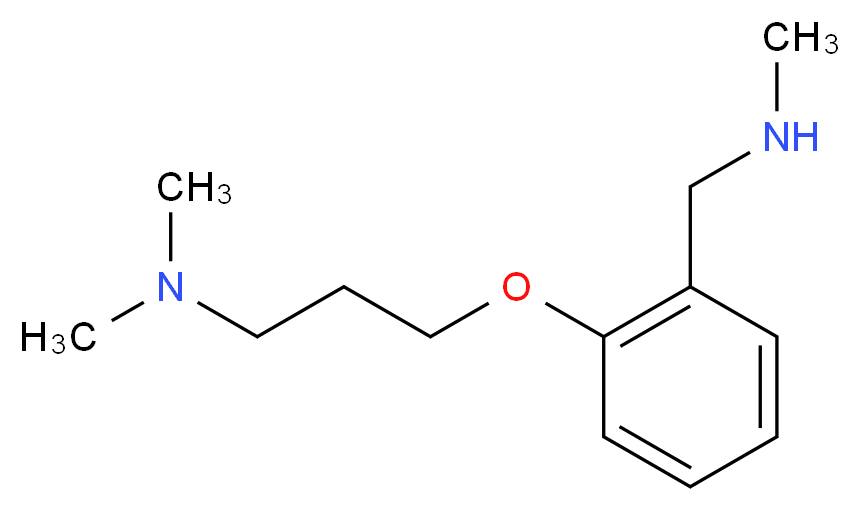 2-[3-(Dimethylamino)propoxy]-N-methylbenzylamine 97%_分子结构_CAS_910037-06-8)