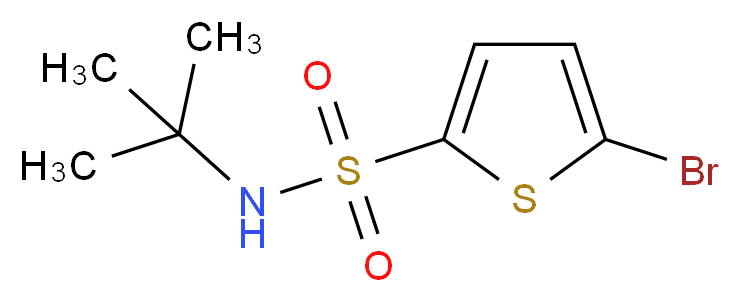 5-bromo-N-tert-butylthiophene-2-sulfonamide_分子结构_CAS_286932-39-6