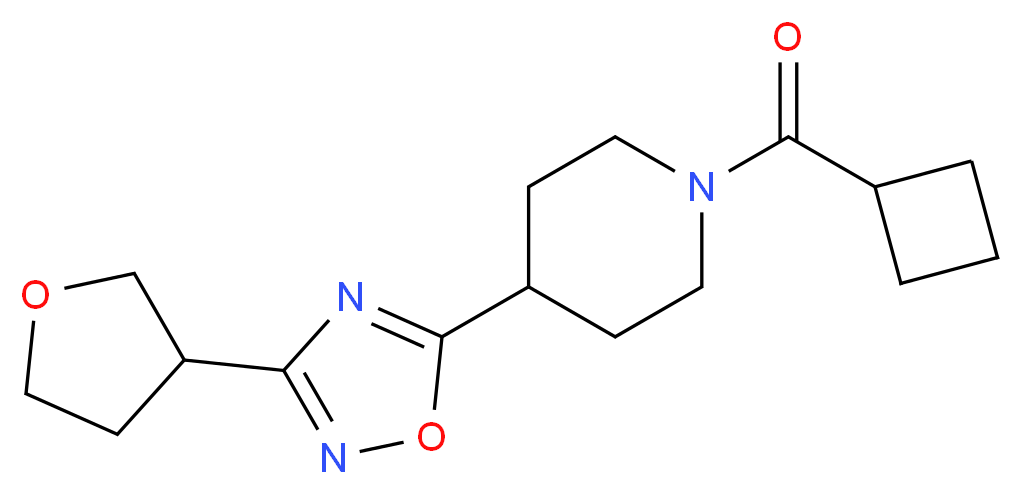 1-(cyclobutylcarbonyl)-4-[3-(tetrahydrofuran-3-yl)-1,2,4-oxadiazol-5-yl]piperidine_分子结构_CAS_)