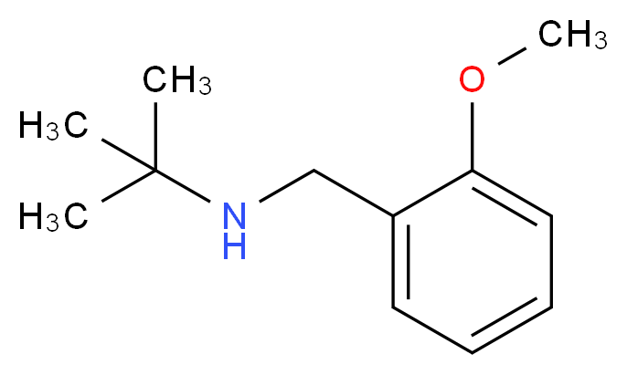N-(2-methoxybenzyl)-2-methylpropan-2-amine_分子结构_CAS_869942-68-7)