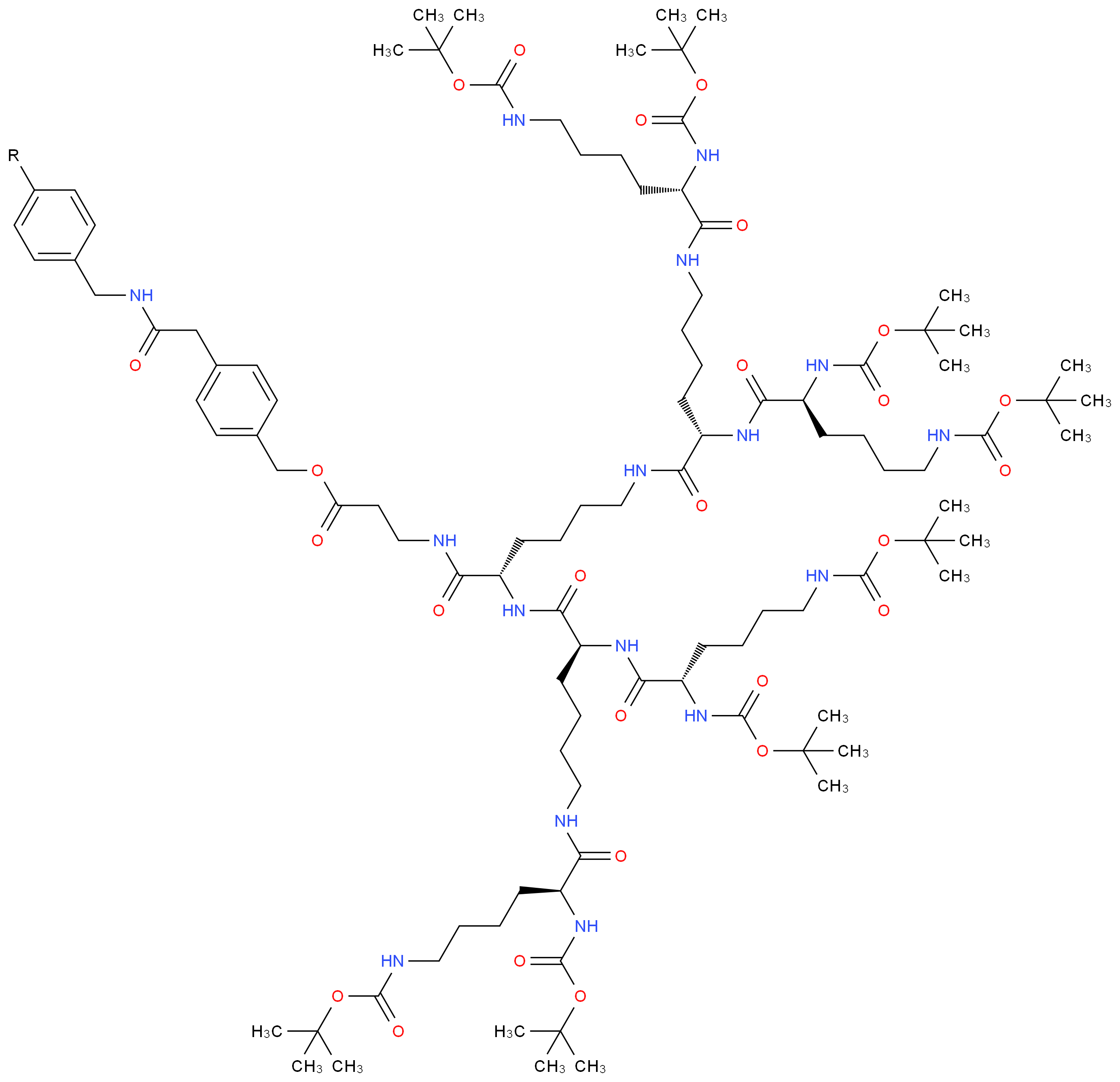 CAS_ 分子结构