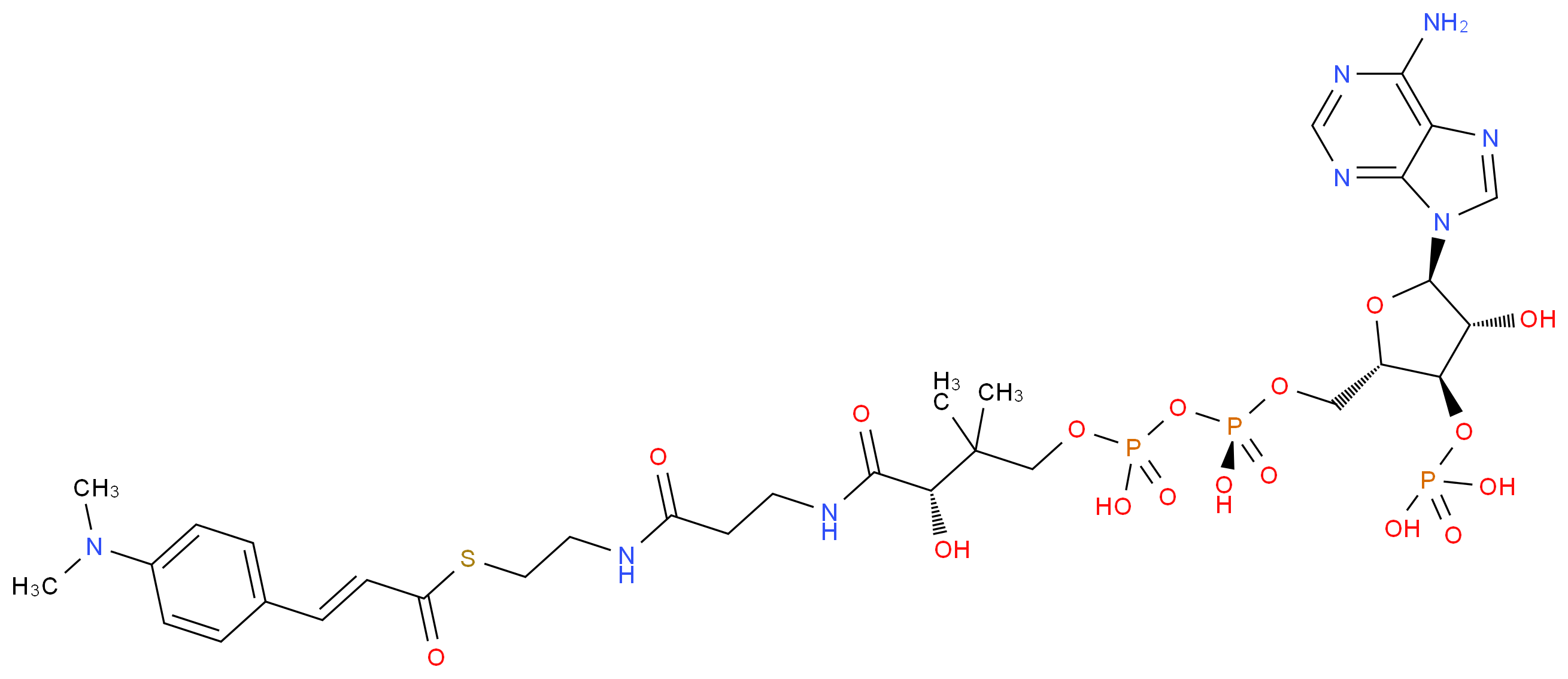 CAS_ 分子结构