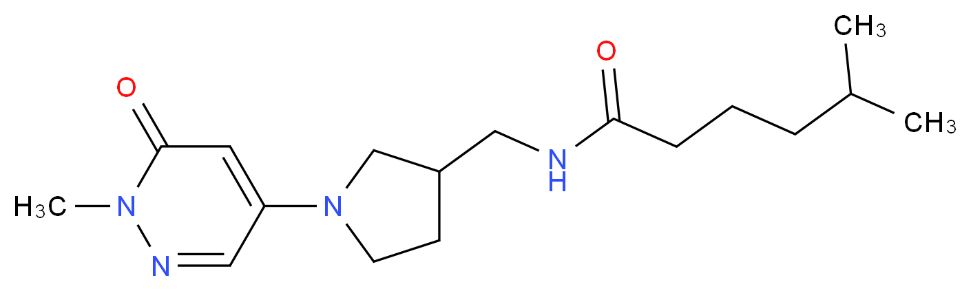 5-methyl-N-{[1-(1-methyl-6-oxo-1,6-dihydro-4-pyridazinyl)-3-pyrrolidinyl]methyl}hexanamide_分子结构_CAS_)