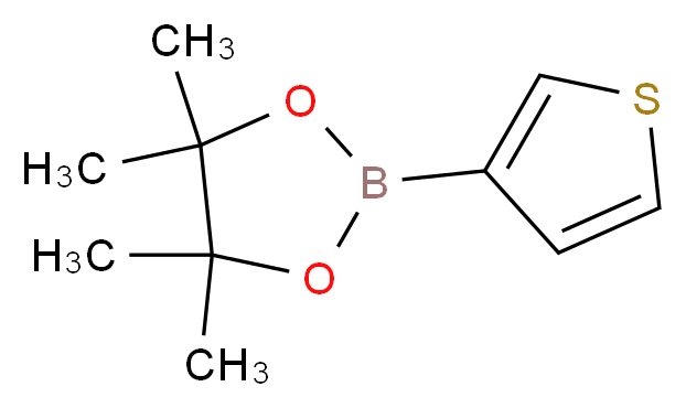 THIOPHENE-3-BORONIC ACID PINACOL ESTER_分子结构_CAS_214360-70-0)