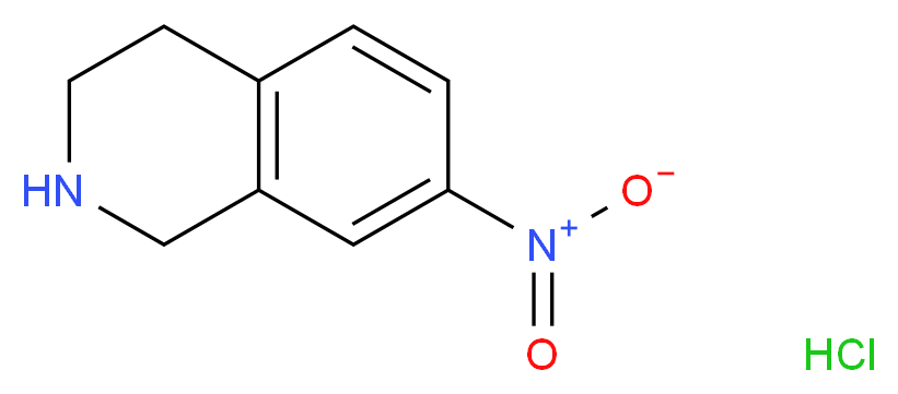 7-Nitro-1,2,3,4-tetrahydroisoquinoline hydrochloride_分子结构_CAS_99365-69-2)