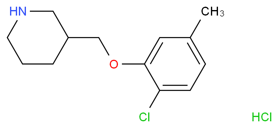 2-Chloro-5-methylphenyl 3-piperidinylmethyl ether hydrochloride_分子结构_CAS_)