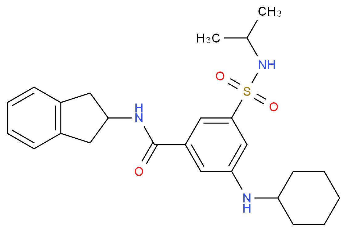 3-(cyclohexylamino)-N-(2,3-dihydro-1H-inden-2-yl)-5-[(isopropylamino)sulfonyl]benzamide_分子结构_CAS_)