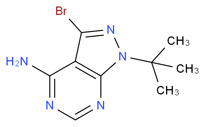 3-bromo-1-tert-butyl-1H-pyrazolo[3,4-d]pyrimidin-4-amine_分子结构_CAS_862728-61-8