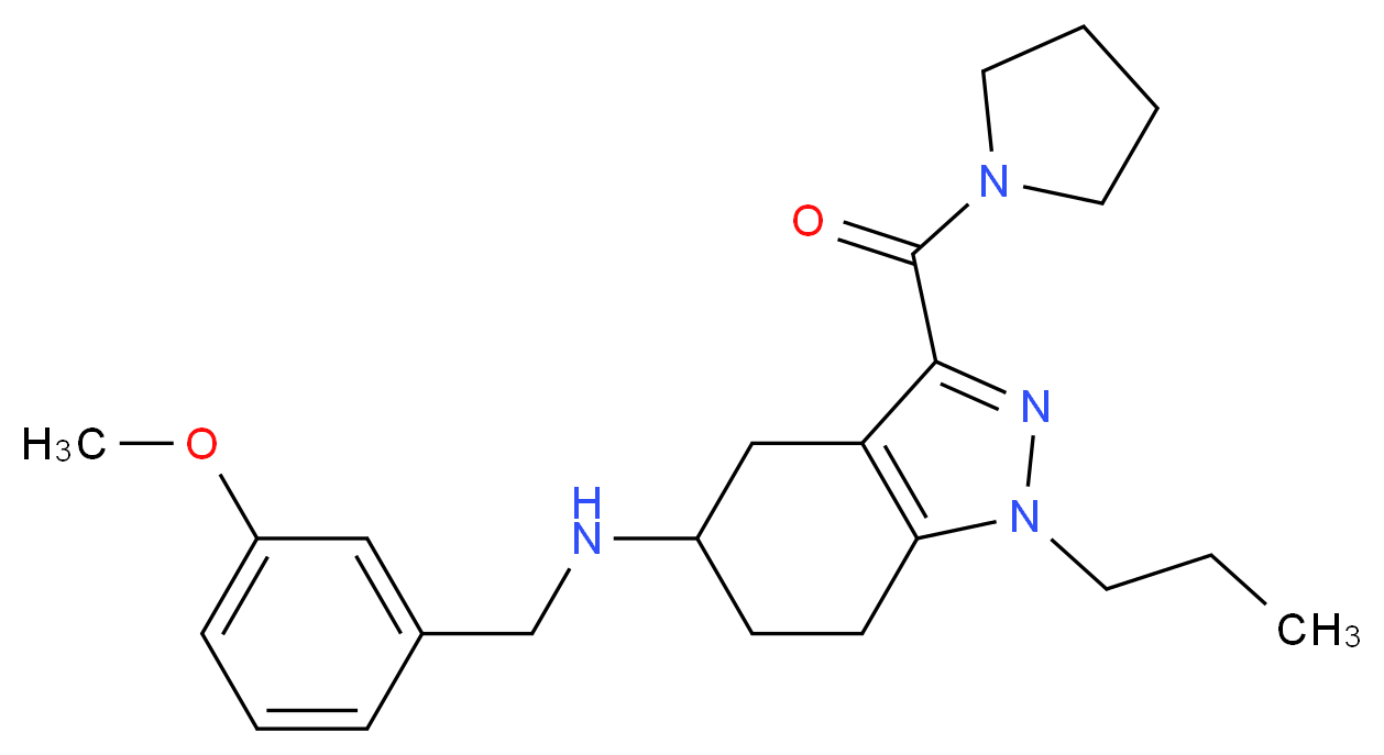 N-(3-methoxybenzyl)-1-propyl-3-(1-pyrrolidinylcarbonyl)-4,5,6,7-tetrahydro-1H-indazol-5-amine_分子结构_CAS_)