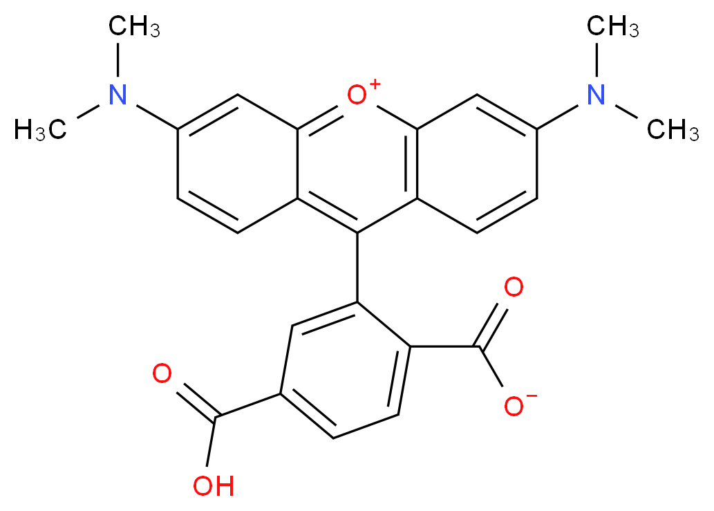 9-(5-carboxy-2-carboxylatophenyl)-3,6-bis(dimethylamino)-10λ<sup>4</sup>-xanthen-10-ylium_分子结构_CAS_91809-67-5
