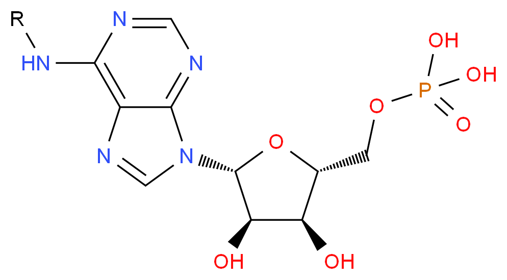 Adenosine 5′-monophosphate–Agarose_分子结构_CAS_)