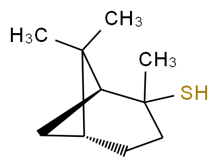 (1S,5R)-2,6,6-trimethylbicyclo[3.1.1]heptane-2-thiol_分子结构_CAS_23832-18-0