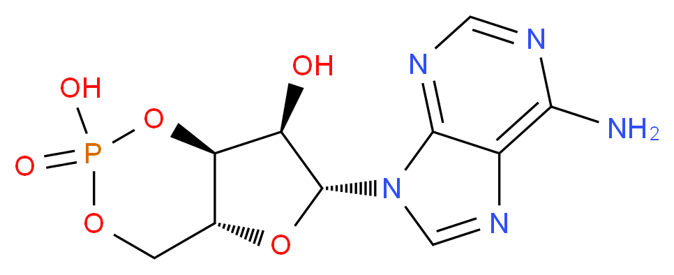 ADENOSINE-3',5'-cyclic-MONOPHOSPHORIC ACID_分子结构_CAS_60-92-4)