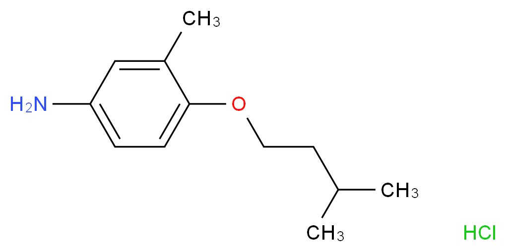 4-(Isopentyloxy)-3-methylaniline hydrochloride_分子结构_CAS_)