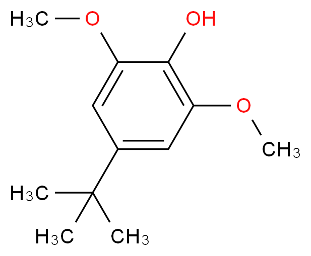 4-tert-butyl-2,6-dimethoxyphenol_分子结构_CAS_6766-84-3