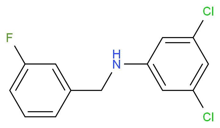 3,5-dichloro-N-[(3-fluorophenyl)methyl]aniline_分子结构_CAS_1040010-63-6