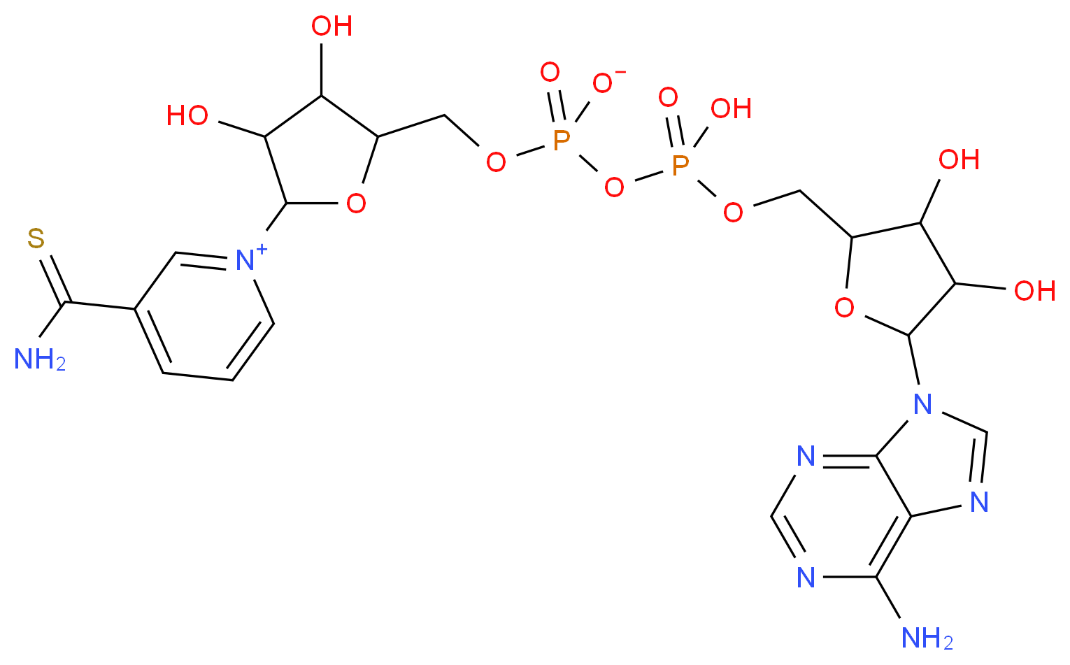 Thionicotinamide adenine dinucleotide_分子结构_CAS_4090-29-3)