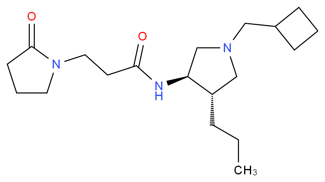 N-[(3R*,4S*)-1-(cyclobutylmethyl)-4-propyl-3-pyrrolidinyl]-3-(2-oxo-1-pyrrolidinyl)propanamide_分子结构_CAS_)
