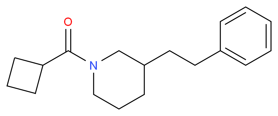 1-(cyclobutylcarbonyl)-3-(2-phenylethyl)piperidine_分子结构_CAS_)