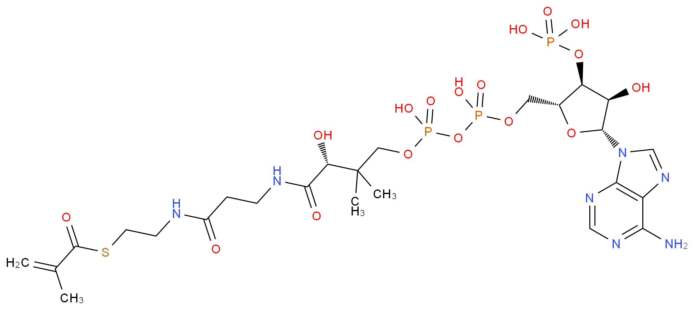 {[(2R,3S,4R,5R)-5-(6-amino-9H-purin-9-yl)-4-hydroxy-2-({[hydroxy({hydroxy[(3R)-3-hydroxy-2,2-dimethyl-3-{[2-({2-[(2-methylprop-2-enoyl)sulfanyl]ethyl}carbamoyl)ethyl]carbamoyl}propoxy]phosphoryl}oxy)phosphoryl]oxy}methyl)oxolan-3-yl]oxy}phosphonic acid_分子结构_CAS_6008-91-9