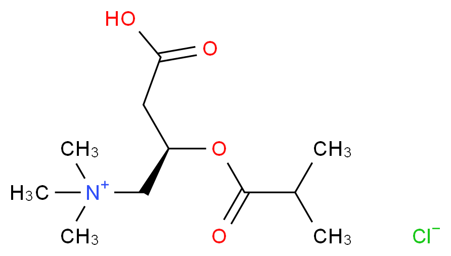 Isobutyryl L-Carnitine Chloride_分子结构_CAS_6920-31-6)