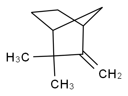 2,2-dimethyl-3-methylidenebicyclo[2.2.1]heptane_分子结构_CAS_79-92-5