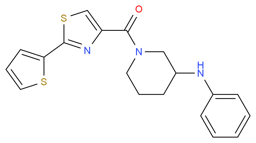 N-phenyl-1-{[2-(2-thienyl)-1,3-thiazol-4-yl]carbonyl}-3-piperidinamine_分子结构_CAS_)