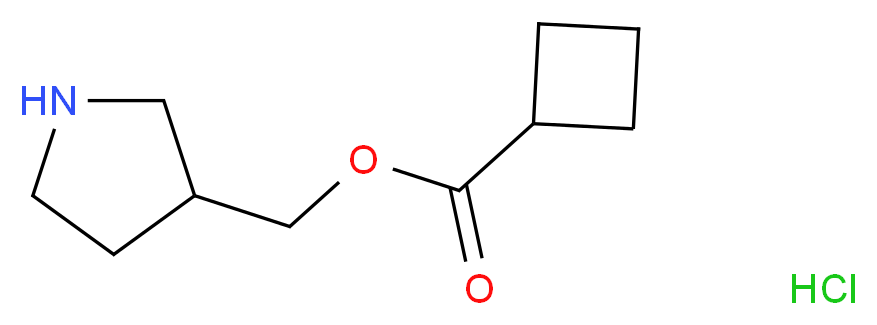 3-Pyrrolidinylmethyl cyclobutanecarboxylate hydrochloride_分子结构_CAS_)