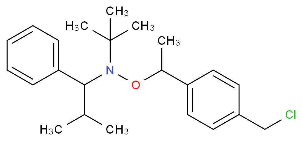 N-叔丁基-O-[1-[4-(氯甲基)苯基]乙基]-N-(2-甲基-1-苯丙基)羟胺_分子结构_CAS_227000-85-3)