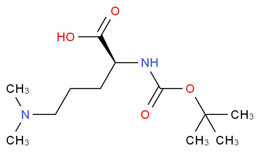 (S)-2-[(tert-butoxycarbonyl)amino]-5-(dimethylamino)pentanoic acid_分子结构_CAS_65671-54-7)