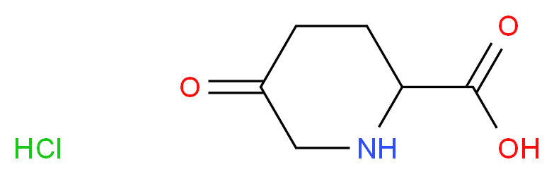 5-oxopiperidine-2-carboxylic acid hydrochloride_分子结构_CAS_99980-20-8