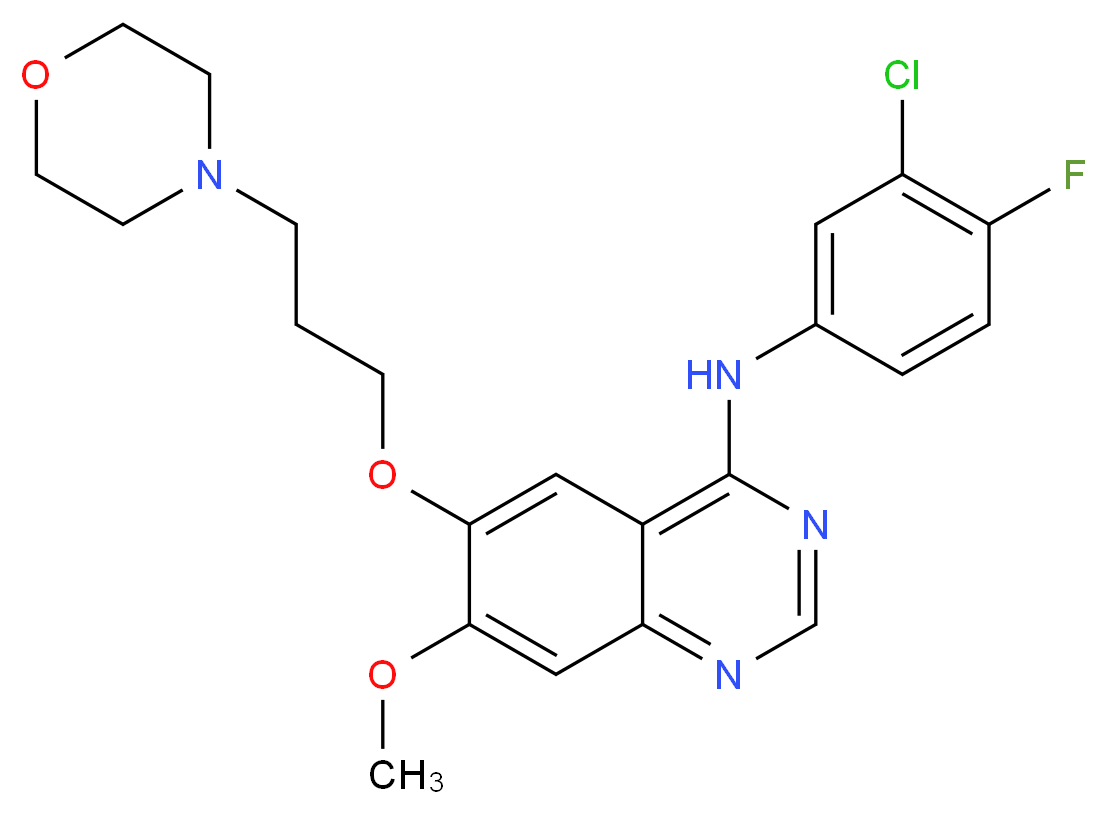 N-(3-chloro-4-fluorophenyl)-7-methoxy-6-[3-(morpholin-4-yl)propoxy]quinazolin-4-amine_分子结构_CAS_184475-35-2