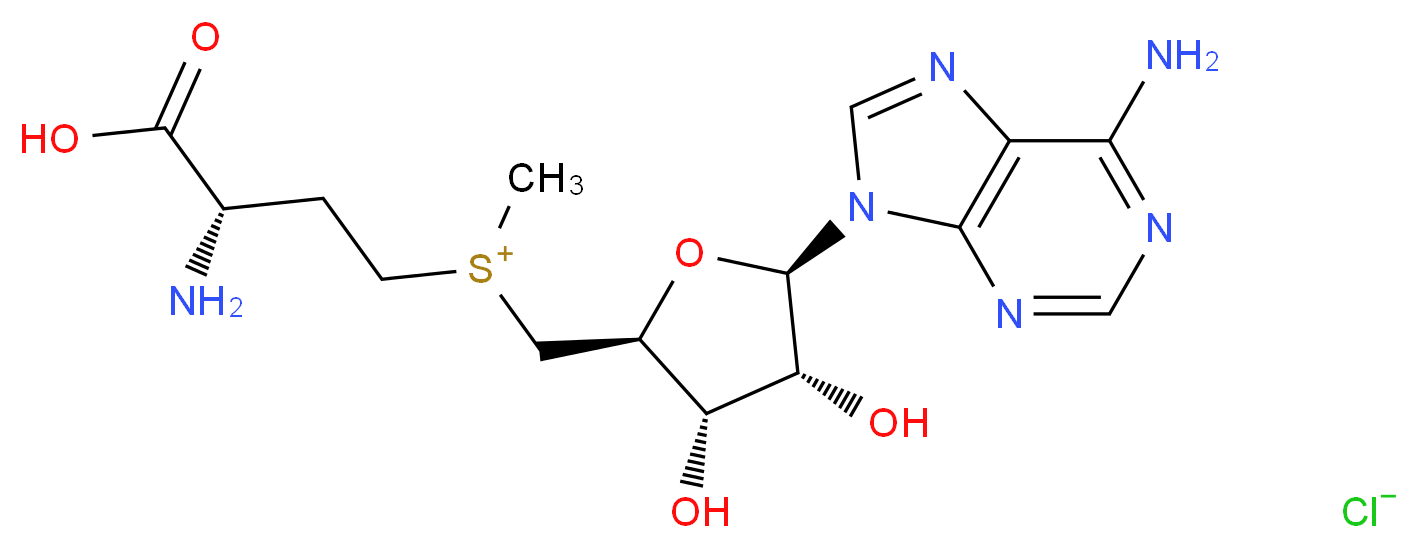 [(3S)-3-amino-3-carboxypropyl]({[(2S,3S,4R,5R)-5-(6-amino-9H-purin-9-yl)-3,4-dihydroxyoxolan-2-yl]methyl})methylsulfanium chloride_分子结构_CAS_86867-01-8