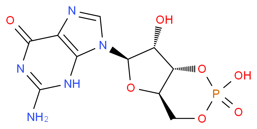 Cyclic guanosine monophosphate_分子结构_CAS_7665-99-8)