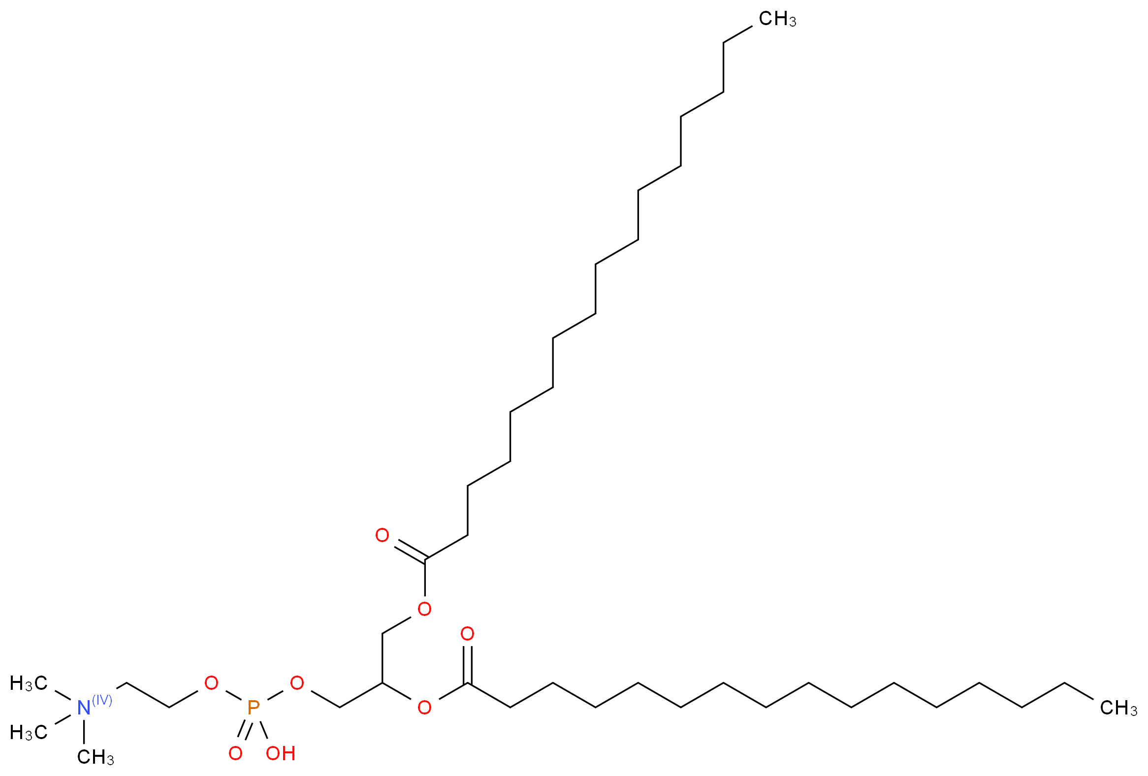 1,2-Dipalmitoyl-rac-glycero-3-phosphocholine_分子结构_CAS_2644-64-6)