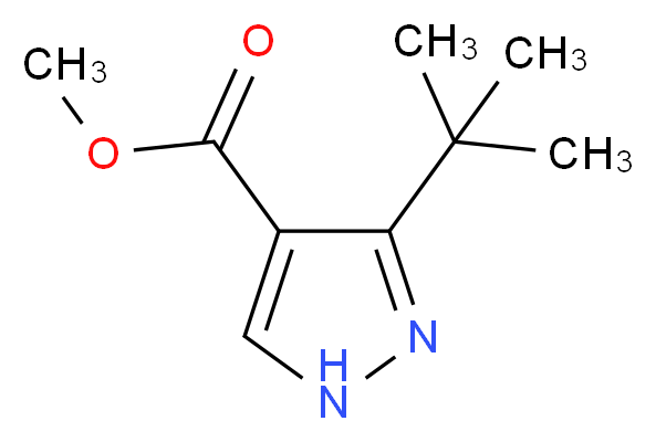 methyl 3-tert-butyl-1H-pyrazole-4-carboxylate_分子结构_CAS_1017782-45-4