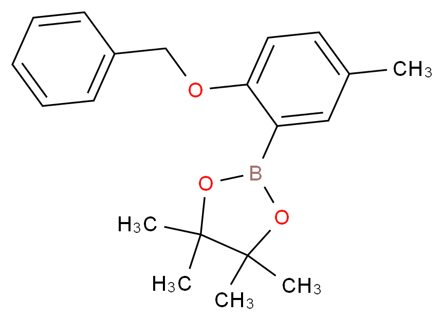 2-Benzyloxy-5-methylphenylboronic acid pinacol ester_分子结构_CAS_1204580-85-7)