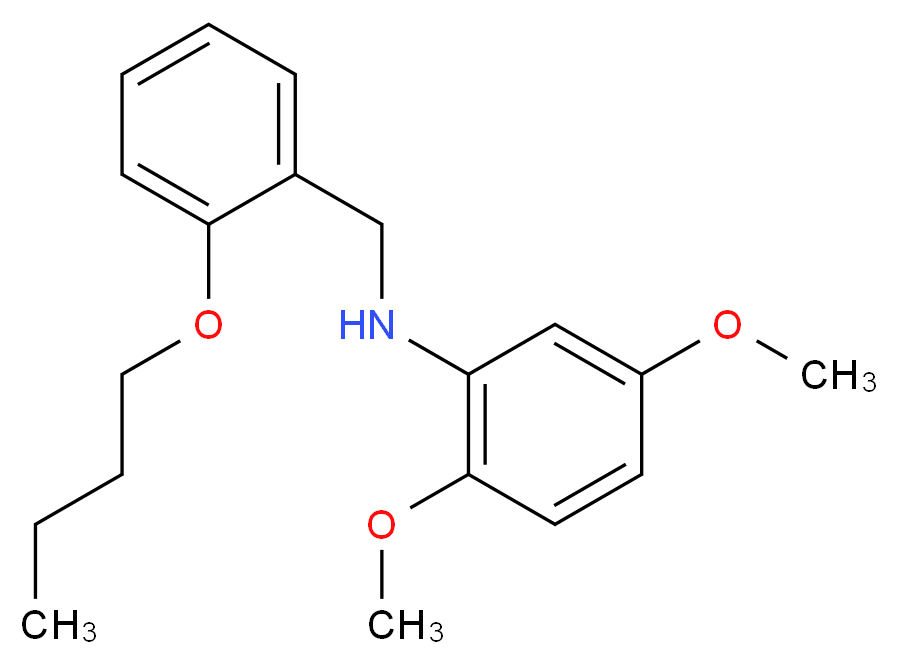 N-(2-Butoxybenzyl)-2,5-dimethoxyaniline_分子结构_CAS_)