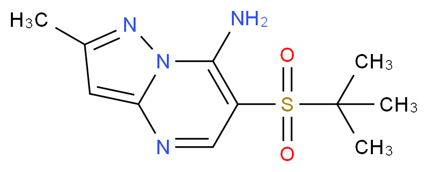 2-methyl-6-(2-methylpropane-2-sulfonyl)pyrazolo[1,5-a]pyrimidin-7-amine_分子结构_CAS_519056-49-6
