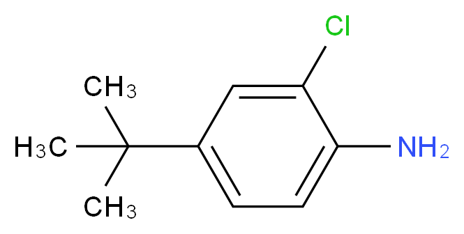 4-(tert-Butyl)-2-chloroaniline_分子结构_CAS_42265-67-8)