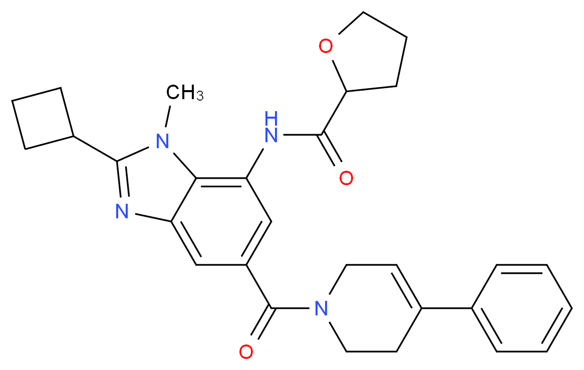 N-{2-cyclobutyl-1-methyl-5-[(4-phenyl-3,6-dihydro-1(2H)-pyridinyl)carbonyl]-1H-benzimidazol-7-yl}tetrahydro-2-furancarboxamide_分子结构_CAS_)