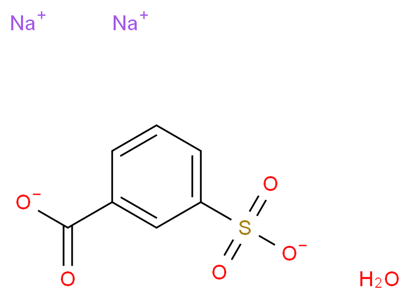 disodium 3-sulfonatobenzoate hydrate_分子结构_CAS_14995-40-5