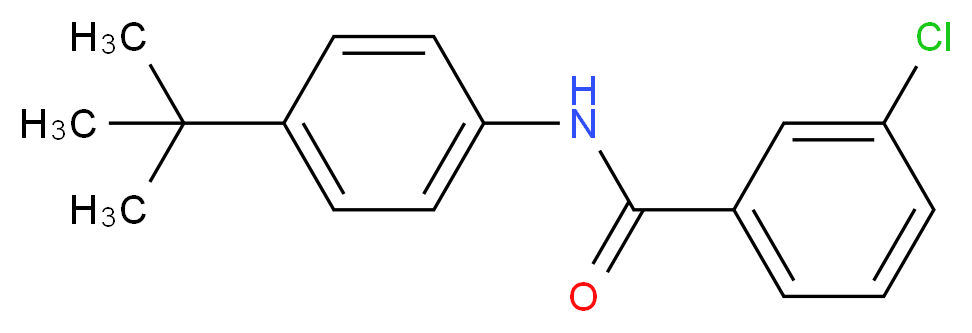 N-(4-tert-butylphenyl)-3-chlorobenzamide_分子结构_CAS_1004646-47-2