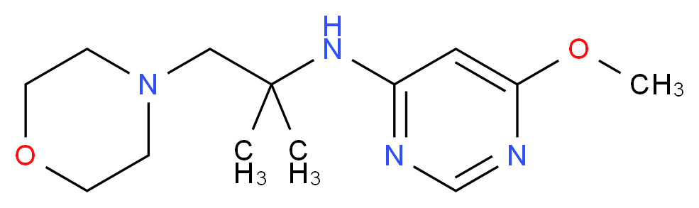 N-(1,1-dimethyl-2-morpholin-4-ylethyl)-6-methoxypyrimidin-4-amine_分子结构_CAS_)