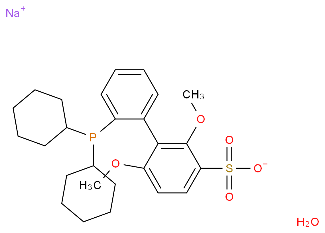 sodium 3-[2-(dicyclohexylphosphanyl)phenyl]-2,4-dimethoxybenzene-1-sulfonate hydrate_分子结构_CAS_1049726-96-6